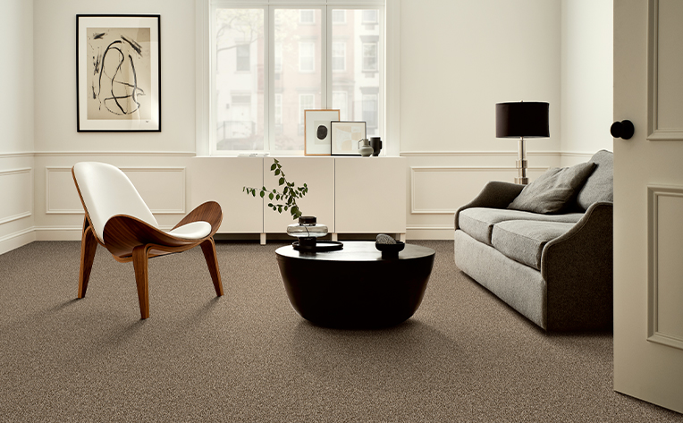 brown carpet in living space area